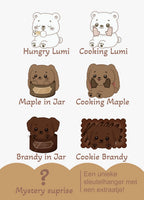 Cookie Blind Box Keychain