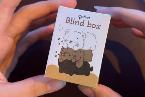 Cookie Blind Box Keychain